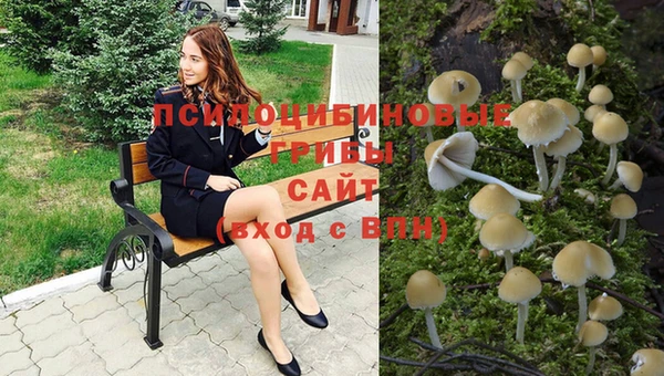 альфа пвп Пересвет