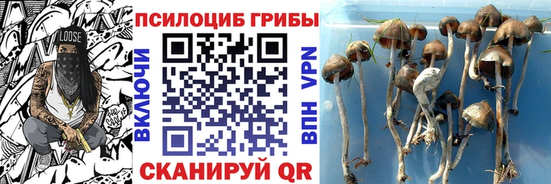 Псилоцибиновые грибы Psilocybine cubensis  ссылка на мегу ONION  Саров  нарко площадка состав  купить закладку 
