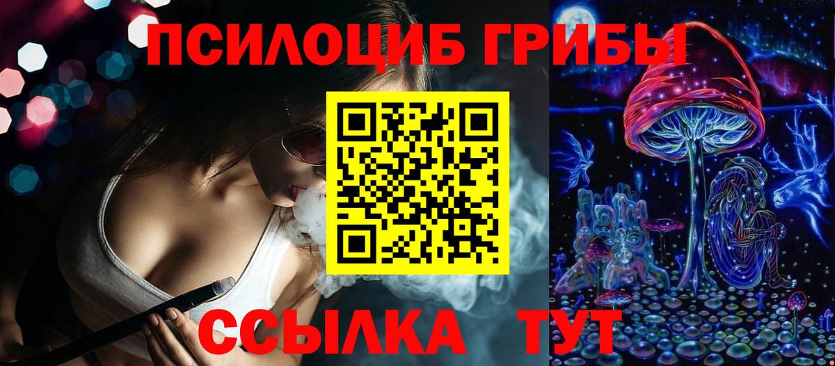 Галлюциногенные грибы Cubensis Саров