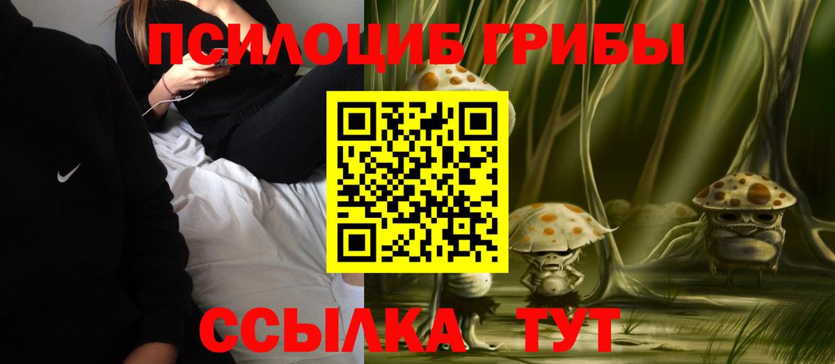 Галлюциногенные грибы GOLDEN TEACHER Саров